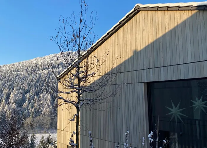 Sauerland - Haus Juliana Сasa de vacaciones Winterberg